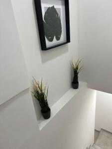 dos macetas en una pared blanca con una foto en SKY HOUSE LUXURY en Nápoles