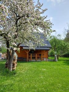 a log cabin with a tree in the grass at Marel-Apartments Domek Eva - Polanica Zdrój in Polanica-Zdrój