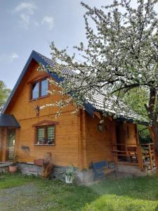 une maison en bois avec un arbre en face de celle-ci dans l'établissement Marel-Apartments Domek Eva - Polanica Zdrój, à Polanica-Zdrój