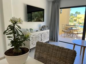 ein Wohnzimmer mit einem TV und einer Pflanze auf dem Tisch in der Unterkunft Atlantic Garden Andrew apartments Pool air conditioning in Corralejo