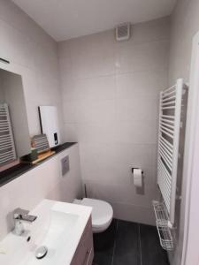 a white bathroom with a toilet and a sink at Ferienwohnung Zum Moselfischer in Trittenheim