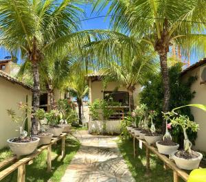 a row of palm trees inront of a house at Pousada Borboleta in Canoa Quebrada