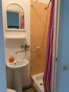ein Bad mit einem Waschbecken, einem WC und einer Dusche in der Unterkunft Sala Apartments in Riga