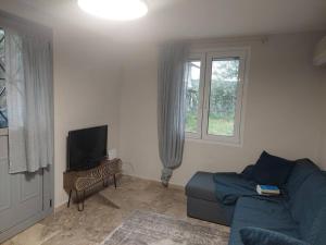 Μια τηλεόραση ή/και κέντρο ψυχαγωγίας στο Gesyl house