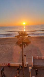 una puesta de sol en la playa con una palmera en Quiero Cádiz en Cádiz