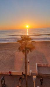 a sunset on the beach with a palm tree at Quiero Cádiz in Cádiz