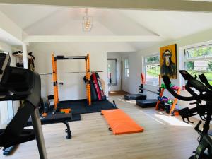 einen Fitnessraum mit zwei Laufbändern und einem orangefarbenen Laufband in der Unterkunft Brabands Cottage Rye in Iden