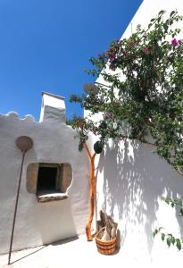 Fotografie z fotogalerie ubytování B&B Limone v destinaci San Teodoro