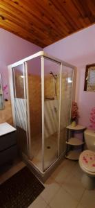 a bathroom with a shower with a toilet and a sink at Gites Le Grand Jardin in Puydarrieux +43 photos