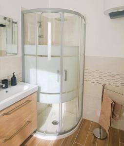eine Glasdusche im Bad mit Waschbecken in der Unterkunft LA PETITE MAISON in Agrate Brianza
