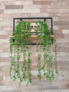 un banco con plantas creciendo en una pared de ladrillo en Dom Apartment Luxury, en Cagliari