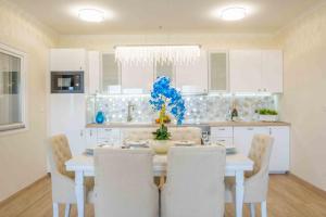 MF Lux Penthouse 8600 Siófok, 16 Liszt Ferenc sétány kép - 2