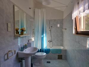 a bathroom with a sink and a toilet and a shower at SWIM and CLIMB BAŠKA HOLIDAY HOUSE - island KRK in Draga