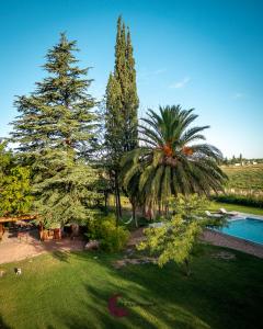 eine Luftansicht auf einen Garten mit Bäumen und einem Pool in der Unterkunft Posada El Alcornoque in San Rafael
