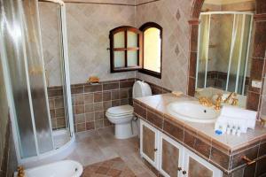 uma casa de banho com um WC, um lavatório e um chuveiro em Quiet villa with swimming pool near Monaco em Peille