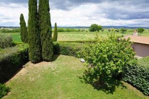 a garden with a large tree and a green field at Agriturismo Podere Santa Virginia in Albinia