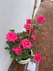 Gallery image of La perla del mare 2 in La Caletta +22 photos