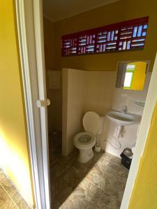 a small bathroom with a toilet and a sink at Chalé Lagoa do Pau in Coruripe