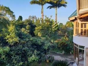 uma vista para um jardim com palmeiras e uma casa em Zion Care Homestay em Arusha