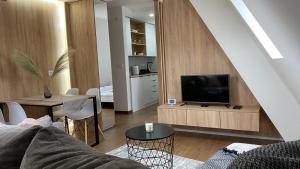 A television and/or entertainment centre at Apartman Borovi 15 Divčibare