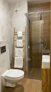 La salle de bains est pourvue d'une douche, de toilettes et d'un lavabo. dans l'établissement Apartman Borovi 15 Divčibare, à Divčibare