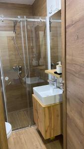 La salle de bains est pourvue d'un lavabo et d'une douche. dans l'établissement Apartman Borovi 15 Divčibare, à Divčibare