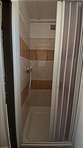 a shower with a glass door in a bathroom at Šiška Kemp in Doksy