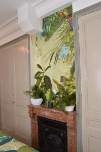 Studio de charme au cœur de Lyon في ليون: غرفة بها موقد بالنباتات