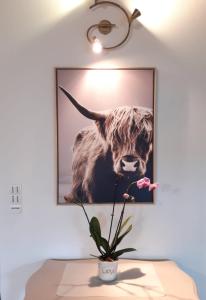 ein Bild einer Kuh, die an einer Wand hängt in der Unterkunft Chambre 7 chambre privée et bureau in Charolles