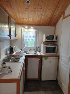 a small kitchen with a sink and a microwave at Nid Douillet in Poncins