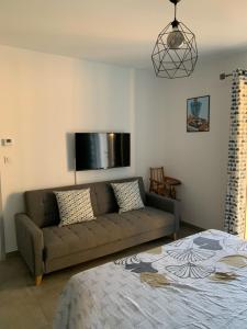 un salon avec un canapé et une télévision à écran plat dans l'établissement Maison climatisée avec grand jardin, piscine privée et Jacuzzi, à Saint-Didier 23 autres photos