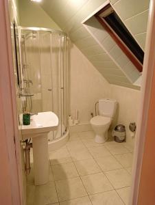 a bathroom with a toilet and a shower and a sink at Zajazd Reczyn - Nowy Reczyn 16 