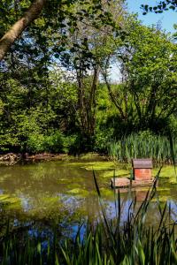 a bench sitting in the middle of a pond at TY La Source in Plestin-les-Grèves