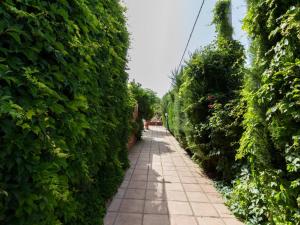 Zdjęcie z galerii obiektu Casa El Rosal Blanco w mieście Padul
