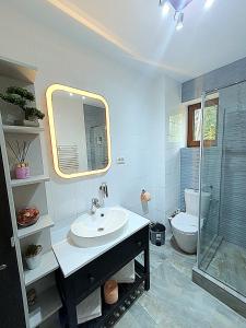 een badkamer met een wastafel, een douche en een toilet bij Forest Apartments in Sinaia