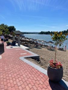 a brick walkway with a potted plant on a beach at Romantika 1 in Ostrovo
