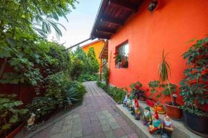 a garden with plants and a red building with plants at Casa luminoasa cu poveste in Sulina