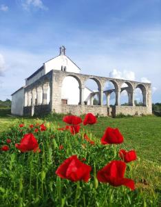 a field of red flowers in front of a building at Apartman Barkunada in Vodnjan