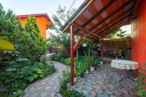 a garden with a table and a bunch of plants at Casa luminoasa cu poveste in Sulina