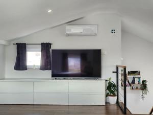 Televízia a/alebo spoločenská miestnosť v ubytovaní Metily apartment