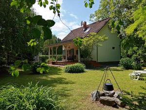 a house with a bucket in the yard at BalcsiHáz Badacsony in Badacsonytomaj