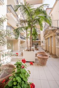 een binnenplaats met een palmboom in een gebouw bij Luxueux 3p. Art Deco + Parking in Cannes