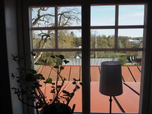 una ventana con una planta y una lámpara delante de ella en Stenkullens gårdshus en Borensberg