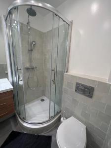 een badkamer met een douche en een toilet bij Loft 4 chambres Montmartre Pigalle climatisé in Parijs