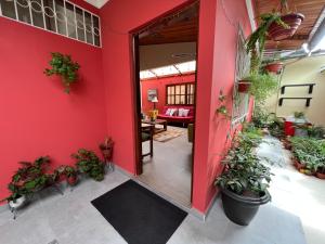 a red wall with plants in a room at Casa Micaela in Iquitos
