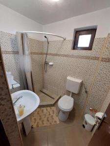 ein Bad mit einem WC und einem Waschbecken in der Unterkunft Casa Fabrizio in Călimăneşti