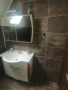 een badkamer met een wastafel en een spiegel bij P-ZLATAR, apartman 3 in Brdo