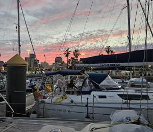 a group of boats docked in a marina at sunset at Brego, Velero para alojamiento in Santa Cruz de Tenerife