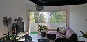 ein Wohnzimmer mit einem Sofa und einem großen Fenster in der Unterkunft Appartement des Cygnes in Annecy