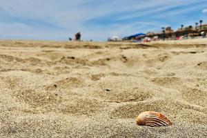 Plaża w apartamencie lub w pobliżu